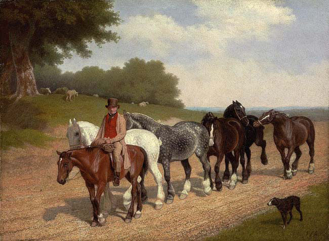 groom with a string of carthorses and a dog